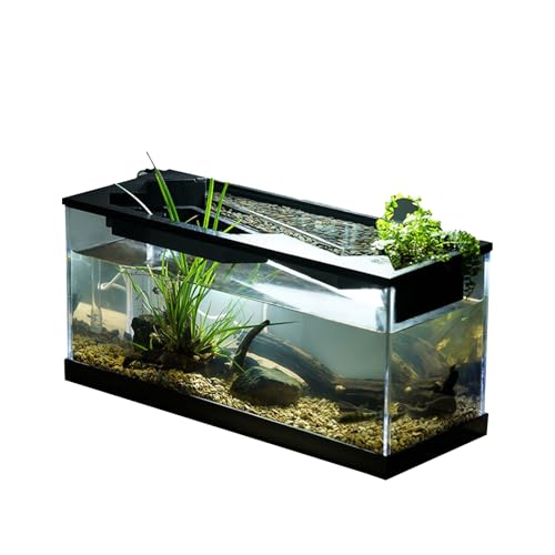 Kleines Aquarium: Transparentes Acrylaquarium mit Filter | Tank mit Luftpumpe und schafft eine Atmosphäre, die für den konzipiert ist für Studio, Zuhause, Tisch von Genérico