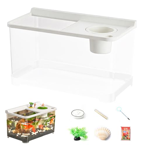 Kleines Fischglas Betta - Fischbecken für Landschaftsbau | Hydrokultur-Aquarium mit 3 LED-Lichtern | 360° Mini Aquarium mit hoher Transparenz von 360° 360° für den Wohnzimmertisch von Genérico