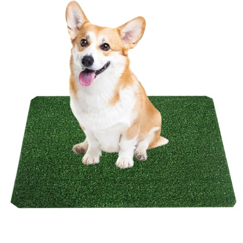 Kunstrasen für Hunde, gefälschter Rasenteppich für Hunde, Rasen für Hunde, Töpfchen für Haustiere, Kunstrasen für Hunde, Kunstrasen für Hunde, Kunstrasen für Töpfchen Kunstrasen für Hunde, gefälschter Rasenteppich für Hunde, Rasen für Hunde, Töpfchen für Haustiere, Kunstrasen für Hunde, Kunstrasen für Hunde, Kunstrasen für Töpfchen von Genérico