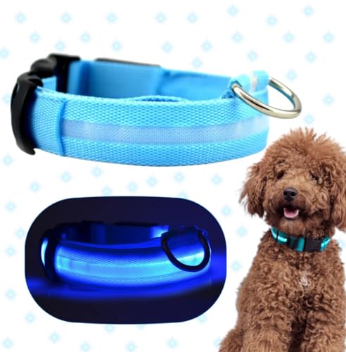 Leuchtendes Halsband für kleine, mittelgroße und große Hunde, 3 Modi für Hunde, wiederaufladbar, verstellbar und wasserdicht, mit leuchtenden LEDs, L 41-56 cm von Genérico