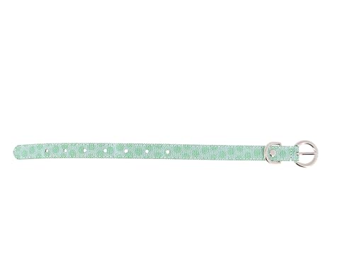 Luxydog Halsband Leder Grün von Generico