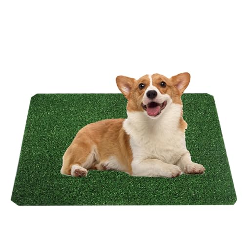 Rasenmatte für Hunde: Kunstrasen für das Töpfchen, für den Innen- und Außenbereich, für das Töpfchentraining für Hunde, Dekoration Rasenmatte für Hunde: Kunstrasen für das Töpfchen, für den Innen- und Außenbereich, für das Töpfchentraining für Hunde, Dekoration von Genérico