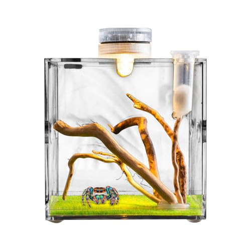 Reptilien Growth Terrarium | Acryl Terrarium für das Wachstum von Spinnen | 360 Grad transparenter Kleintierträger für Eidechsen, Käfer, Schildkröten, Schnecke von Genérico