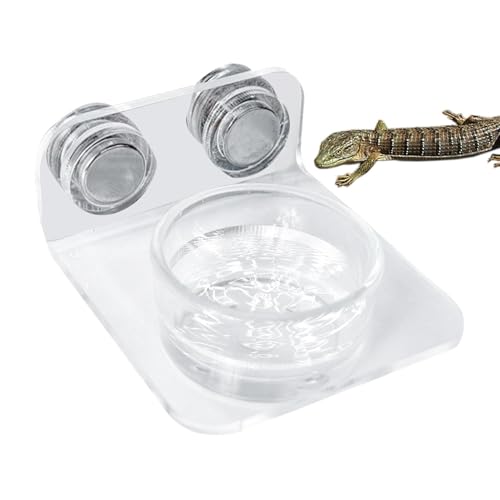 Reptilienfutter – Abnehmbare Gecko-Wasserschale – einfach zu installierende Reptilienfutterstation für Lagarien, Chamäleons, Frösche, Bäume und kleine Haustiere Conve von Genérico