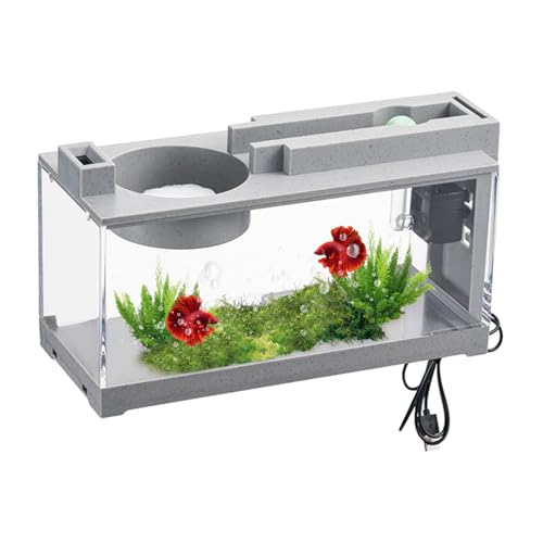 Schreibtischtank | Mini- -Tistana mit Luftpumpe | Dekoratives Aquarium Betta Fish | Ruhiger Retro-Tank für Betta, Goldfisch, , Schildkröten und mehr | Display und Dekoration von Genérico