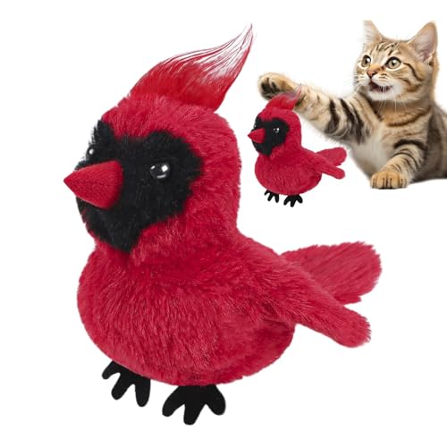 Spielzeug Vogel - Katze Flying Bird Toy Electric Electric Auto - Lustige Autifaktor, automatische Autifaktor, Dolinteractive Chirping Bird Kitten Toy - Plüschpuppe Touch aktiviert, Sumini Spielzeug Vogel - Katze Flying Bird Toy Electric Electric Auto - Lustige Autifaktor, automatische Autifaktor, Dolinteractive Chirping Bird Kitten Toy - Plüschpuppe Touch aktiviert, Sumini von Genérico