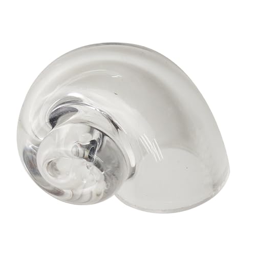 Transparente Muscheln für Einsiedlerkrebse | Unterschlupf für Einsiedlerkrebse | Lebensraum aus transparentem Glas | große dekorative Schnecken | für Spiralen und Terrarien Reptilien von Genérico