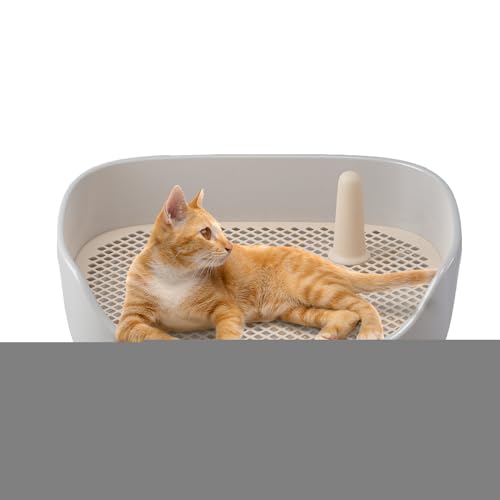 Urinal Pad für Welpen, Töpfchen für drinnen und draußen, für Hunde, mit Schutzwand, Box für drinnen und draußen für kleine Hunde von Genérico