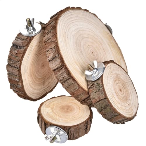 Vogel-Kleiderbügel - Vogelhaken für den Käfig | Spielplatz-Spielzeug, Eichhörnchenvogelkäfig-Stänge, Gerbil- , Vogelbarschhalter aus Naturholz, Spielzeug Vogel-Kleiderbügel - Vogelhaken für den Käfig | Spielplatz-Spielzeug, Eichhörnchenvogelkäfig-Stänge, Gerbil- , Vogelbarschhalter aus Naturholz, Spielzeug von Genérico