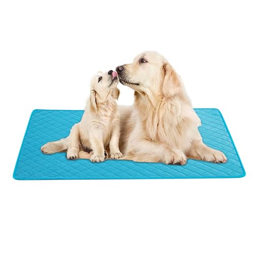 Waschbare Hunde-Pads: Katzentrainingspads für Katzen, wasserdicht, saugfähig, hohe Luftfeuchtigkeit, Hundeteppiche mit Gummipunkten ohne Rutschen Waschbare Hunde-Pads: Katzentrainingspads für Katzen, wasserdicht, saugfähig, hohe Luftfeuchtigkeit, Hundeteppiche mit Gummipunkten ohne Rutschen von Genérico