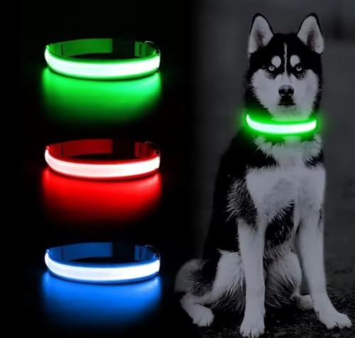 Wiederaufladbares USB-LED-Hundehalsband, geeignet für den Innen- und Außenbereich (Grün, L) von Genérico