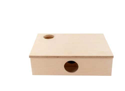 Generiq Hamsterhaus mit Stelzen für 6 Zimmer, 32 x 30 x 10 cm, Stelzen 25 cm von Generiq