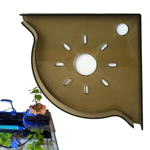 Aquarienhalter, Halterung für die Benutzerfreundlichkeit, Eckregal für Aquarien, – Organisation zu Hause, Riffzubehör, Korallenständer für Familie, Freunde, Pinzetten, Schaber von Générique