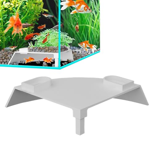 Aquarium Fish Hide, Unterwasser Ecke Shelter, 8,27 x 5,51 Zoll Abnehmbare Zucht Keller, Geräumige Authentisches Design, Freshwater Aquarium Hides für Frischwasser, Salzwasser Lebensräume Aquarium Fish Hide, Unterwasser Ecke Shelter, 8,27 x 5,51 Zoll Abnehmbare Zucht Keller, Geräumige Authentisches Design, Freshwater Aquarium Hides für Frischwasser, Salzwasser Lebensräume von Générique