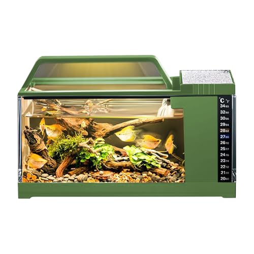 Aquarium-Set | Fischaquarium mit LED-Licht und Wasserpumpe – kleines leises Pumpenset mit Filtersystem, intelligentes Schreibtischzubehör für Schlafzimmer Dekorationen d Aquarium-Set | Fischaquarium mit LED-Licht und Wasserpumpe – kleines leises Pumpenset mit Filtersystem, intelligentes Schreibtischzubehör für Schlafzimmer Dekorationen d von Générique