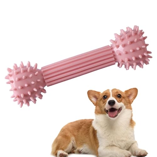 Beißfestes Spielzeug für kleine Hunde – aggressives Kauspielzeug für Haustiere | Spielzeug für Welpen, Zahnreinigung, interaktiver Kaustab für Welpen, Zahnbürste, Spielzeug Beißfestes Spielzeug für kleine Hunde – aggressives Kauspielzeug für Haustiere | Spielzeug für Welpen, Zahnreinigung, interaktiver Kaustab für Welpen, Zahnbürste, Spielzeug von Générique