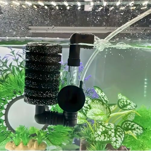 Biochemischer Filterschwamm für Aquarium – Mechanische & biologische Filterung – kompakt & umweltfreundlich Biochemischer Filterschwamm für Aquarium – Mechanische & biologische Filterung – kompakt & umweltfreundlich von Générique
