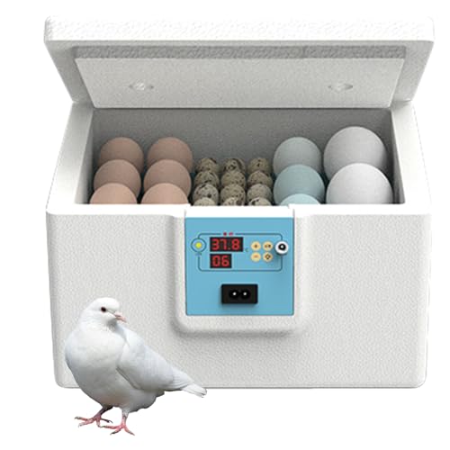 Brutmaschine für Eier, Brutmaschine für Geflügel, halbautomatisch, Thermostatische Aufzuchtbox für Wachteleier, Tauben, Vögel, Bauernhof, Haus Brutmaschine für Eier, Brutmaschine für Geflügel, halbautomatisch, Thermostatische Aufzuchtbox für Wachteleier, Tauben, Vögel, Bauernhof, Haus von Générique