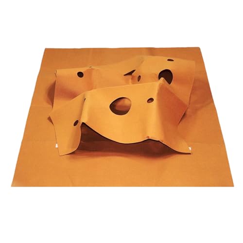 Cat Activity Matte, Katzen-Training, Matte, 100 x 90 cm, für interaktives Kitten Toy, Kratzen, Indoor-Training, Jagd, für Apartment, Outdoor, Reisen, Jagen, Home Climbing Cat Activity Matte, Katzen-Training, Matte, 100 x 90 cm, für interaktives Kitten Toy, Kratzen, Indoor-Training, Jagd, für Apartment, Outdoor, Reisen, Jagen, Home Climbing von Générique
