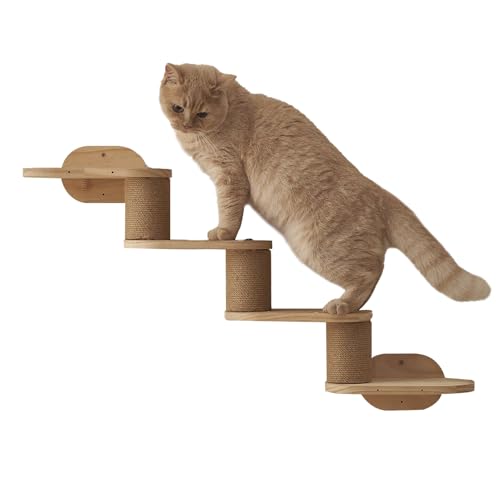 Cat Shelves, Wall Mount Cat Shelve, 31,5 x 18,9 x 6,02 Zoll Holz Climbing Ladder Scratcher Tower, Playground Station Stairs, Floating Bookshelf für den Innenbereich, Kratzer von Générique