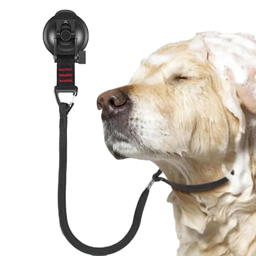 Dog Bathing Tether with Suction Cup, 19.69 x 0.39 inches, 2.68 inches tub grooming restraint straps for safe bathing, safety Tether strap for Small & Medium Dogs Dog Bathing Tether with Suction Cup, 19.69 x 0.39 inches, 2.68 inches tub grooming restraint straps for safe bathing, safety Tether strap for Small & Medium Dogs von Générique
