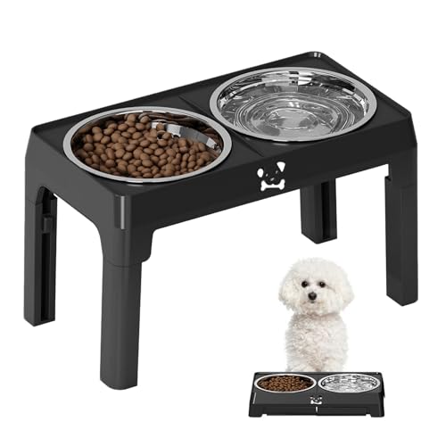 Erhöhte Schüsseln für Hunde, Wasserschüsseln mit Halterung, abnehmbarer Futternapf, rutschfest, für Hunde und Katzen aller Größen, Welpen und Kätzchen von Générique