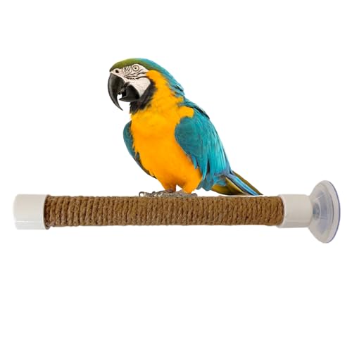 Fensterstange für Vögel, Saugnapf-Vogelstange – Halterung für Wellensittiche | CACKATOO MAACAW PARAKEET BATUILLE Käfig Zubehör Persh Perch Perch für das Fahrzeug von Générique