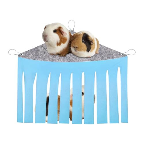 Ferret Hammock, Squirrel, Multifunctional Pet Habitat, Cozy Sleeping Nest, Hanging Play Shelter für Hamster, Chinchilla, Zuckerguss, Grün, Blau, 45 x 31,5 x 27 cm Ferret Hammock, Squirrel, Multifunctional Pet Habitat, Cozy Sleeping Nest, Hanging Play Shelter für Hamster, Chinchilla, Zuckerguss, Grün, Blau, 45 x 31,5 x 27 cm von Générique