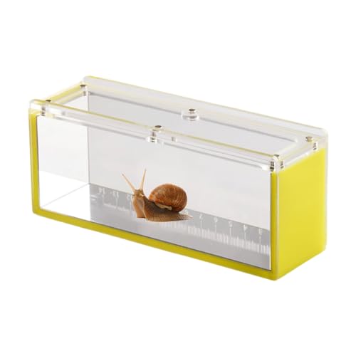Fischbeobachtungsbox, Fischbeobachtungsbox, Fischbeobachtungsbox, Acryl, Fischbeobachtungsbox, mit Leiter, für Krabben, Schnecken, Spinnen von Générique