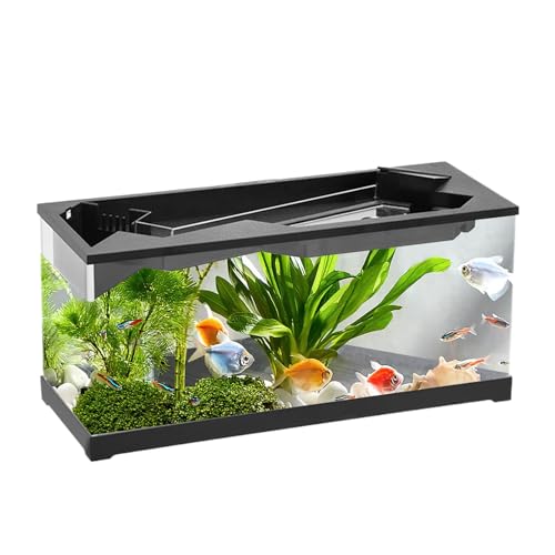 Fischtank, Acryl-Tisch-Aquarium, Clear Compact Aquarium-Set mit Filter, Quiet Air Pump Easy Fishkeeping, modernes Design für Tabletop oder Studio Verwendung, 30 x 13 x 15 cm Fischtank, Acryl-Tisch-Aquarium, Clear Compact Aquarium-Set mit Filter, Quiet Air Pump Easy Fishkeeping, modernes Design für Tabletop oder Studio Verwendung, 30 x 13 x 15 cm von Générique