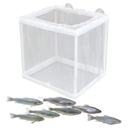 Fischzüchterbox – Aquarium Isolierung Mesh Tank, Floating Shatchery Divider | Baby Fish Protection Nursery Net, Compact Fish Fry Hatcher für Guppy Reproduktion, Trennung Aqua von Générique