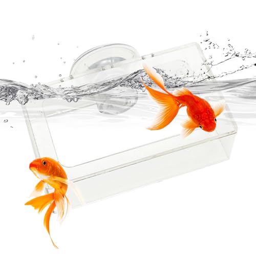 Futter-Tablett für Fische, Futterstation für Fische, Garnelenhersteller, nicht rutschend, mit Absaugung, langsamer Fütterungsteller, Acryl-Futterhalter von Générique