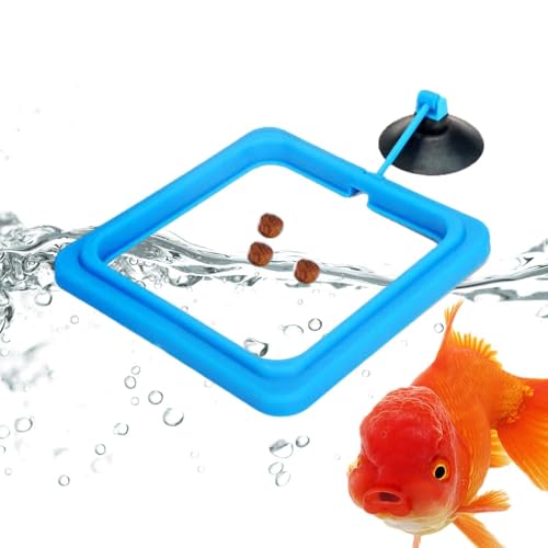 Futterring für Aquarium – Futterring für schwimmende Fische für Aquarien, sicher und ohne Verschmutzung, schwimmend Futterring für Aquarium – Futterring für schwimmende Fische für Aquarien, sicher und ohne Verschmutzung, schwimmend von Générique