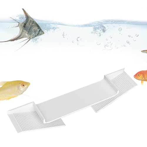 Garnelenschiene – Kuppel-Dreieck mit gebogenem Loch, unterirdischer Unterschlupf, Terrarium und Verwendung der Terrasse, ABS Keller Reptil, Aquatic Pet Habitat | Anzeige des Fischrohrs, Dekoration von von Générique