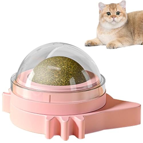 Gatera Katzenspielzeug für Katzen, interaktives Catnip-Ball, zum Lecken und | selbstklebendes Wandspielzeug mit 360-Grad-Drehung, Reinigung und Unterhaltung der Zähne, ideal für Kätzchen und Gatera Katzenspielzeug für Katzen, interaktives Catnip-Ball, zum Lecken und | selbstklebendes Wandspielzeug mit 360-Grad-Drehung, Reinigung und Unterhaltung der Zähne, ideal für Kätzchen und von Générique