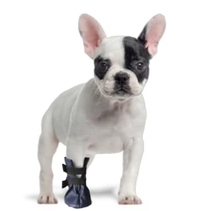 Hundeschutzsocken für Hunde zum Schutz vor Verletzungen und Erholung, 100 % – Kunstleder, 3 (M) (5 cm), Höhe: 12 cm von Générique