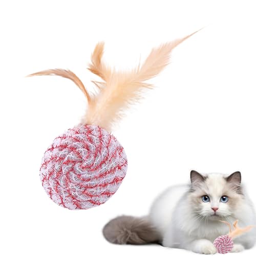 Générique Cat Ball Toy – Rolling Cat Toy | Spielzeug für Haustiere aus Federn, Jagdspielzeug für Katzen, Teaser und Beißrisse Kätzchen, Katzenfeder für Taq Générique Cat Ball Toy – Rolling Cat Toy | Spielzeug für Haustiere aus Federn, Jagdspielzeug für Katzen, Teaser und Beißrisse Kätzchen, Katzenfeder für Taq von Générique