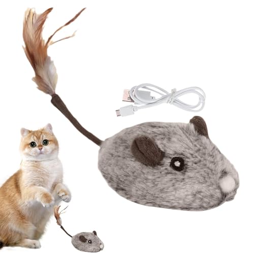Générique Cat Mice Toy, elektronisches Plüschtier, Feather Tail Kitten, USB wiederaufladbar, elektronisches Plüschspielzeug mit elektrischer Mice und Feder, für drinnen oder draußen Générique Cat Mice Toy, elektronisches Plüschtier, Feather Tail Kitten, USB wiederaufladbar, elektronisches Plüschspielzeug mit elektrischer Mice und Feder, für drinnen oder draußen von Générique
