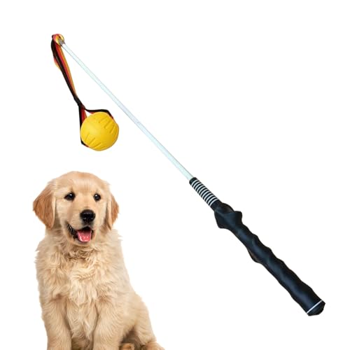 Générique Flirt Pole for Dogs, 450 g Large Dog Teaser Pole, Fiber Rod, Stainless Steel Interactive Tug of War Übungs-Toy, langlebiger Trainingsstift für Puppies, Lawn, Backyard 31,5 x 1,57 x 1,57 Zoll Générique Flirt Pole for Dogs, 450 g Large Dog Teaser Pole, Fiber Rod, Stainless Steel Interactive Tug of War Übungs-Toy, langlebiger Trainingsstift für Puppies, Lawn, Backyard 31,5 x 1,57 x 1,57 Zoll von Générique