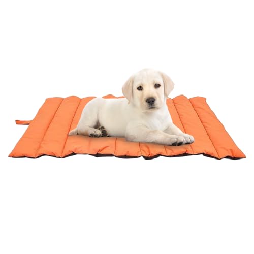 Générique Hunde-Campingbett, Schlafmatte, 110 x 68 x 1 cm, Reisedecke, kompaktes Design, wasserdicht, faltbar, 1 Stück, Grau, für Rucksackreisen im Freien Générique Hunde-Campingbett, Schlafmatte, 110 x 68 x 1 cm, Reisedecke, kompaktes Design, wasserdicht, faltbar, 1 Stück, Grau, für Rucksackreisen im Freien von Générique