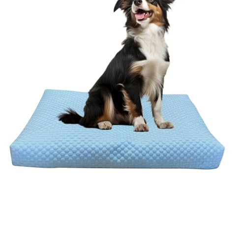 Générique Hundebett-Kühlbezug, waschbare Haustierdecke, 89 x 56 x 10 cm, bezaubernde, atmungsaktive Haustiermatten, Möbelschutz, Sofa, Couch, Auto, atmungsaktive Kühlmatte für Hunde und Katzen Générique Hundebett-Kühlbezug, waschbare Haustierdecke, 89 x 56 x 10 cm, bezaubernde, atmungsaktive Haustiermatten, Möbelschutz, Sofa, Couch, Auto, atmungsaktive Kühlmatte für Hunde und Katzen von Générique