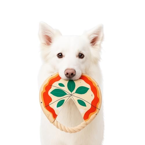 Générique Hundefrisbee aus Segeltuch, Modell Pizza mit Seil, 2-in-1-Spielzeug (Werfen & Ziehen), stabil, robust und zahnfreundlich – Verwendung im Innen- und Außenbereich von Générique