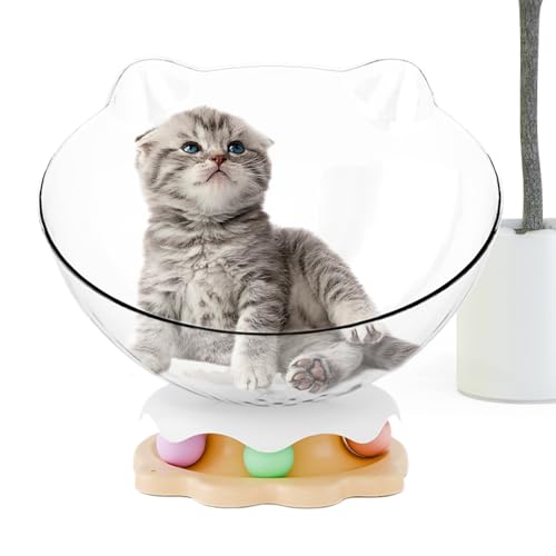 Générique Katzenbett, niedlich, für Haustiere, 30 x 13 x 30 cm, transparent, interaktiver gemütlicher Rest für Kittens und Puppies Home Play, transparent Générique Katzenbett, niedlich, für Haustiere, 30 x 13 x 30 cm, transparent, interaktiver gemütlicher Rest für Kittens und Puppies Home Play, transparent von Générique