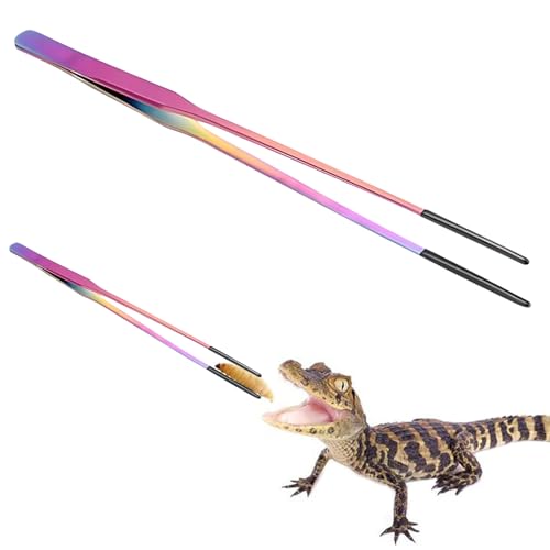 Générique Pinzette für Reptilien | gerade und gebogene Pinzette, Kopf aus Silikon, rutschfest, für Reptilien, Aquarien Générique Pinzette für Reptilien | gerade und gebogene Pinzette, Kopf aus Silikon, rutschfest, für Reptilien, Aquarien von Générique