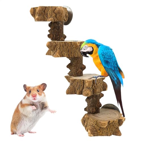 Générique Plattform aus Holz für Vögel – Zubehör für Käfige, Verlegung aus Naturholz | Baum für Vögel, Klettertreppe, Plattform für Hamster, Eichhörnchen und Kleintiere von Générique