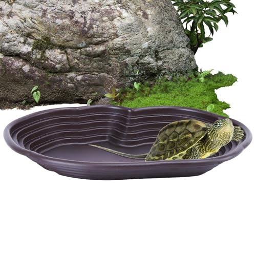 Générique Schwimmbecken für Schildkröten, Schwimmbecken für Schildkröten – großes Schildkrötenwasserbecken mit rundem Loch, mit Ablaufschlauch für Schildkrötenaquarien Générique Schwimmbecken für Schildkröten, Schwimmbecken für Schildkröten – großes Schildkrötenwasserbecken mit rundem Loch, mit Ablaufschlauch für Schildkrötenaquarien von Générique