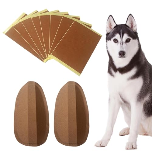 Générique Set zur Anzeige von Hundeohren, festes Werkzeug für Hundeohren | Vertikale Ohrkorrekturhalterung für Hunde, , mehr als 2 Monate Générique Set zur Anzeige von Hundeohren, festes Werkzeug für Hundeohren | Vertikale Ohrkorrekturhalterung für Hunde, , mehr als 2 Monate von Générique