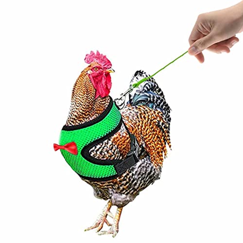 Geschirr für Haustiere, Geflügel, Zugseil für kleine Tiere, Hühner, Kaninchen, Gans und Ente, Geschirr für Haustiere, Geschirr und Zugseil, Hühnergeschirr von Générique