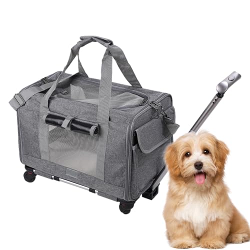 Grande Gatti Carrier – Haustiere für Haustiere mit Schultergurten, weiche Reisetasche, zugelassen von der Firma AE | Reisetasche für Hunde, Transport für die Kleinen Grande Gatti Carrier – Haustiere für Haustiere mit Schultergurten, weiche Reisetasche, zugelassen von der Firma AE | Reisetasche für Hunde, Transport für die Kleinen von Générique