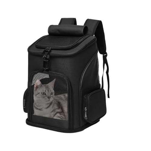 Große Transportbox für Katzen – weicher Transportkorb für Welpen, leicht und tragbar, belüfteter Gurt für Tierarztbesuch, Camping, Outdoor, Fellpflege, Reisen, Alltag, Transport von Générique